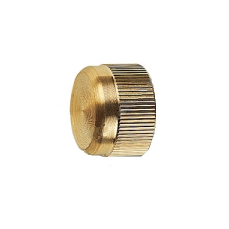 Bouchon LAITON 1"Femelle