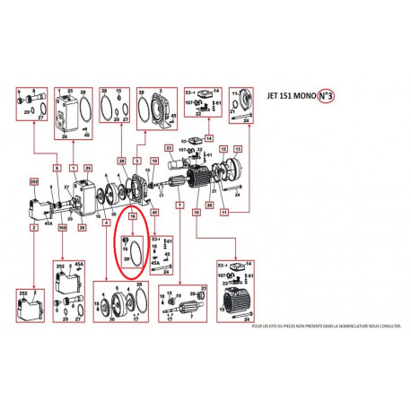 Pompe De Surface DAB Jet 251 Mono - 230V - Corps Fonte - 2 Turbines Noryl - Pour Eau Claire