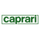 Pompe GEP CAPRARI type P14CH/8/35 1A