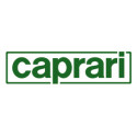 Pompe GEP CAPRARI type P14CH/8/35 1A