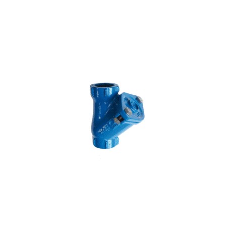 Clapet anti-retour à boule 1"1/2 en Fonte - JETLY - accessoires - RS-pompes.